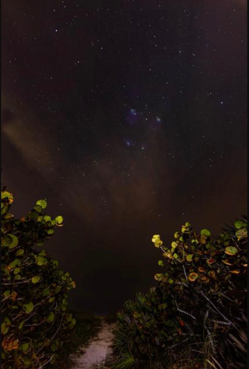 Navigating the Archive as a Night Sky